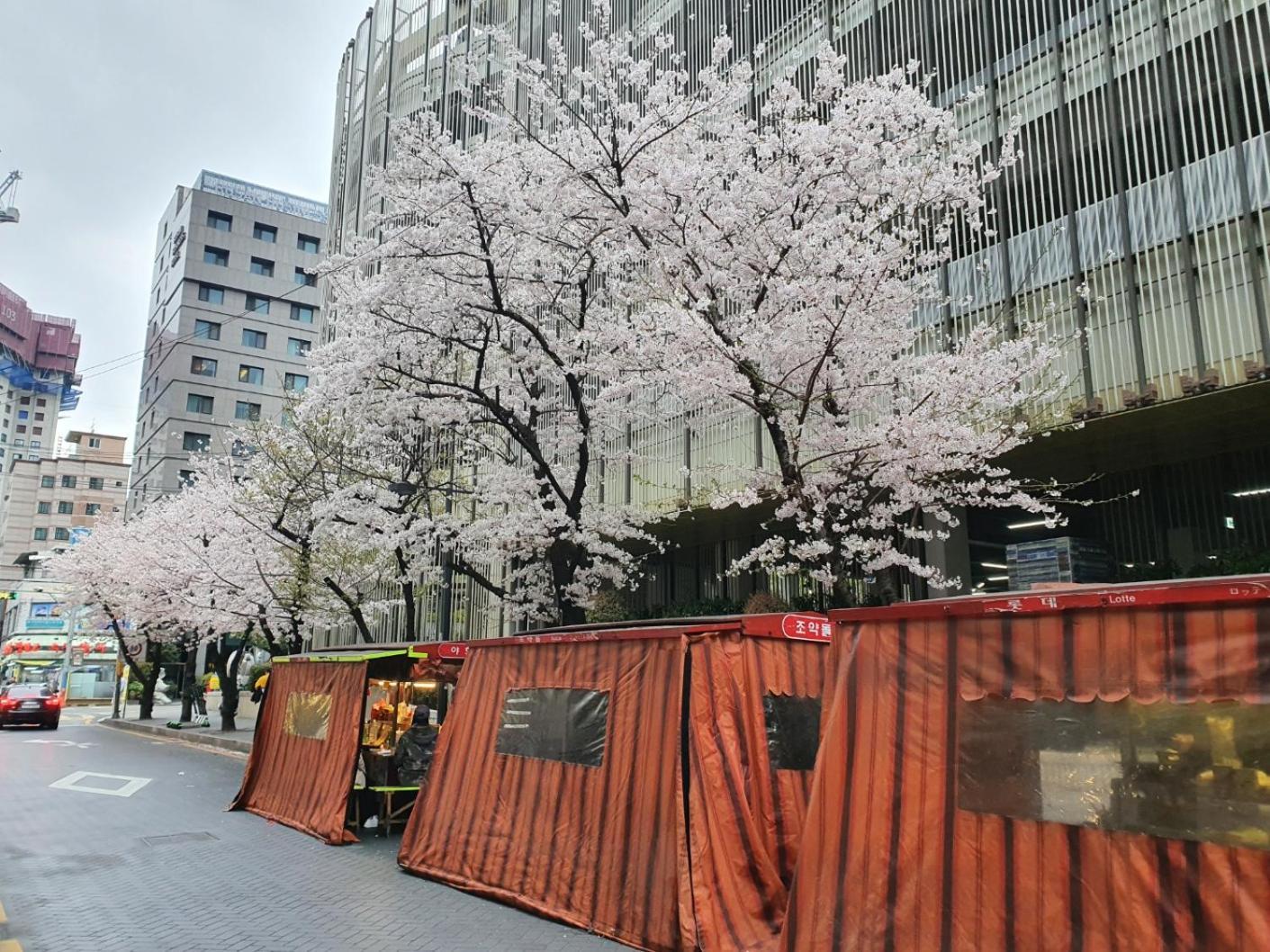 Busan Business Hotel Exterior foto